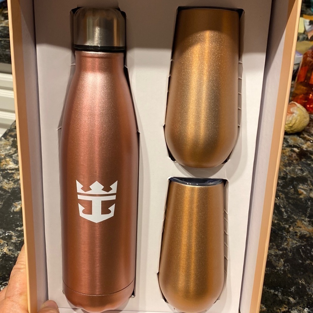 Drink set insulated with lids. NWT
